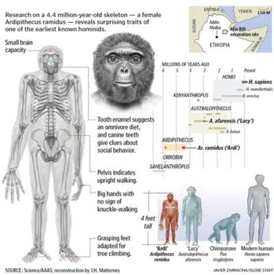 Il ritrovamento dei resti di Ardipithecus ramidus: un ponte tra ominidi e antenati umani nell'Età del Pleistocene.